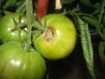 DSC02137.JPG