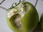 DSC02144.JPG