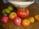 osu blue-aunt ruby GG-summer C A-Coeur de B RR-hillbilly.jpg