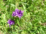 P1000656 (Small).JPG