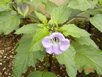 DSC04134.JPG