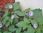 DSC04140.JPG
