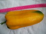 DSCF2480.JPG