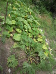 DSCN3383.JPG