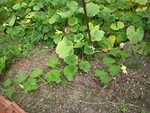 DSCN3396.JPG