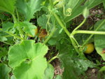 DSCN3399.JPG