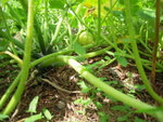 DSCN3404.JPG