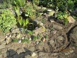 2011-08-07 finition bassin 6x.jpg