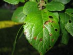 IMG_0566.jpg