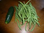 haricots et marketer.jpg