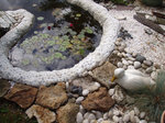 Bassin 003.JPG