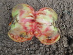 DSC02405.JPG