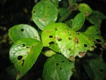 IMG_0568.jpg