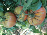 DSC02410.JPG
