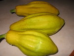 Courge et courte pointe 013.jpg