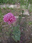 DSCN3228.JPG