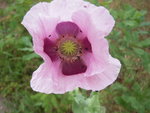 DSCN3283.JPG