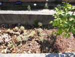 DSCN1951.JPG
