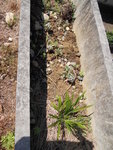 DSCN1953.JPG