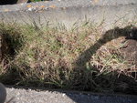 DSCN1954.JPG