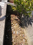 DSCN1955.JPG