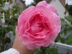 DSCN0138.jpg