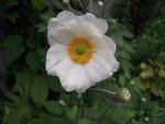 DSCN3374.JPG