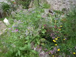 DSCN3376.JPG