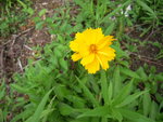 DSCN3411.JPG