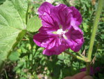 DSCN3222.JPG