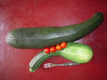 DSCN3370.JPG