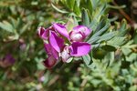 DSC_0189.jpg