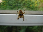 DSC02168.JPG