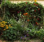 Jardin-de-feu-2011.jpg