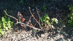 2011-08-16 09.53.43.jpg