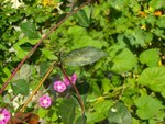 2k11_08_15_014.jpg