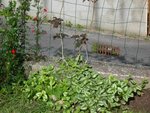 2k11_08_15_023.jpg