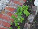 2k11_08_15_027.jpg