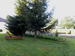 Jardin vue haut.jpg