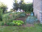 Jardin droit 1.jpg