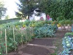 Jardin droit 2.jpg