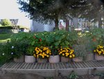 Fleur et aromatiques 1.jpg