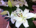 IMG_0558.JPG