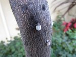 img_3749.jpg
