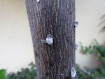 img_3752.jpg