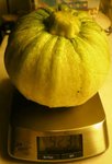 courgette.JPG