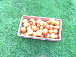 22 août 2011-1.JPG