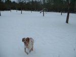 10 janvier 2010015.jpg reduite.jpg