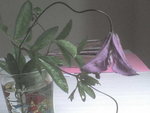DSC00004.JPG