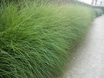 DSC00228 - Copie.jpg